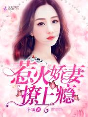 惹火娇妻,撩上瘾!