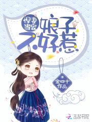 悍妻当家:娘子不好惹