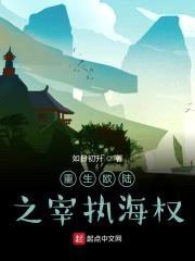 重生欧陆之宰执海权