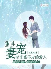 重生宠妻:时光盗不走的爱人