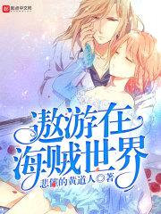 遨游在海贼世界