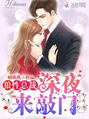 狼性总裁,深夜来敲门