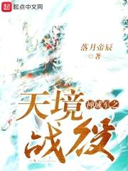 上神界之天境战役