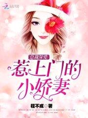 总裁深爱:惹上门的小娇妻