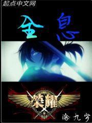 全职高手之一个人的全息网游