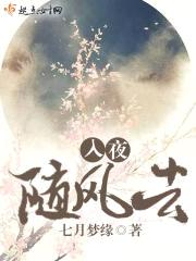 入夜随风去