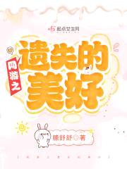 网游之遗失的美好