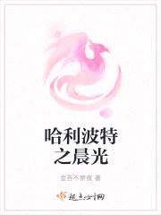 哈利波特之晨光