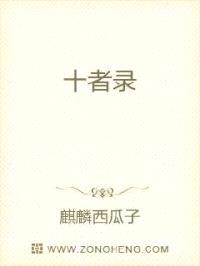 十者录
