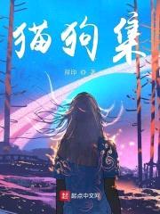 猫狗集