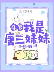 斗罗：我是唐三meimei