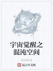 宇宙觉醒之混沌空间