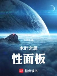 木叶之属性面板