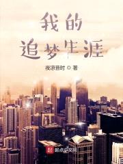 我的追梦生涯