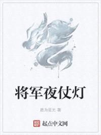 将军夜仗灯