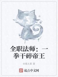 全职法师：一拳干碎帝王