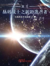 晶码战士之新的选召者